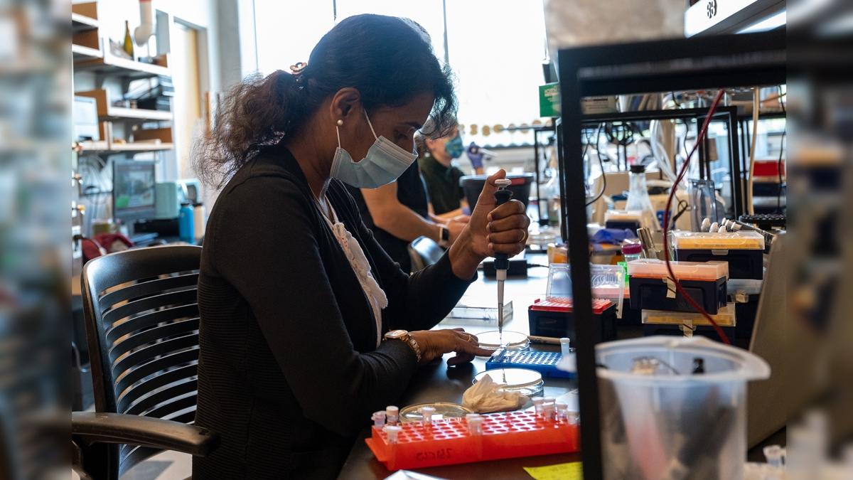 Student in Bethany Strunk's biology lab sits at desk